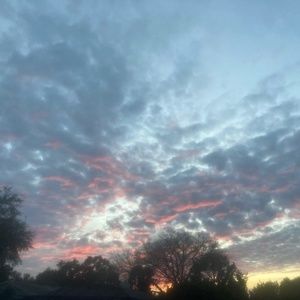 Meet your Posher, Sophia